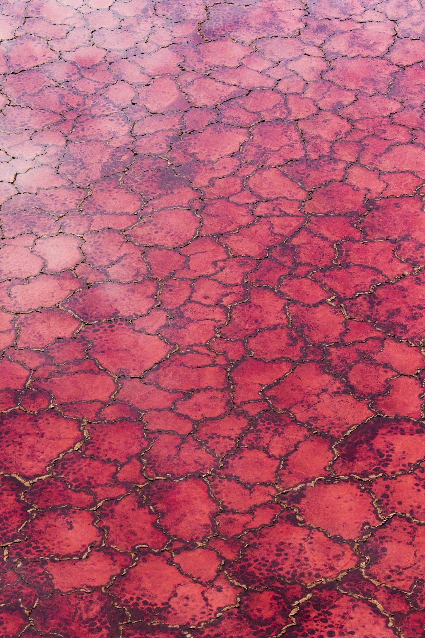 Il lago di Natron: perché è rosso e come fa a “pietrificare” gli animali
